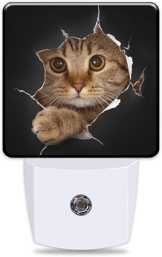 Cat Night Light Cat in Black Hole Plug in Night Lights LED Lamp with Dusk to Dawn Sensor Auto Energy Saving Square Lights for Bedroom Bathroom Hallway Home Wall Decor Nightlight