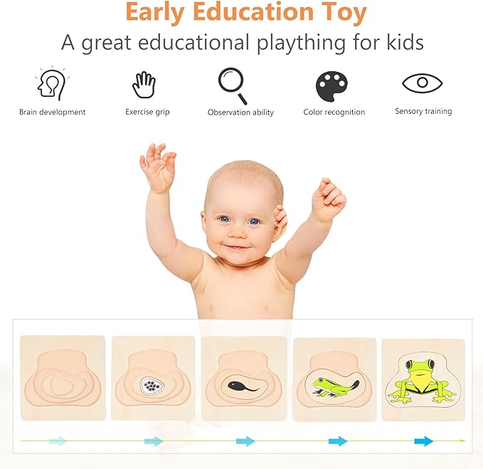 Wooden Multi Layered Puzzles, Life Cycle of Frog, Cartoon Montessori Toy DIY Puzzle Early Educational Toy Preschool Learning Game for Boys & Girls 3 Years and Above