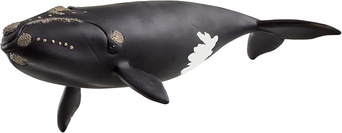 Schleich Wild Life - Large 7.5" Right Whale Toy Figurine. Realistic Hand-Painted Hard Animal Toys for Boys and Girls. Durable, Educational Figure for Imaginative Play. Kids and Toddlers Ages 3+ 14878