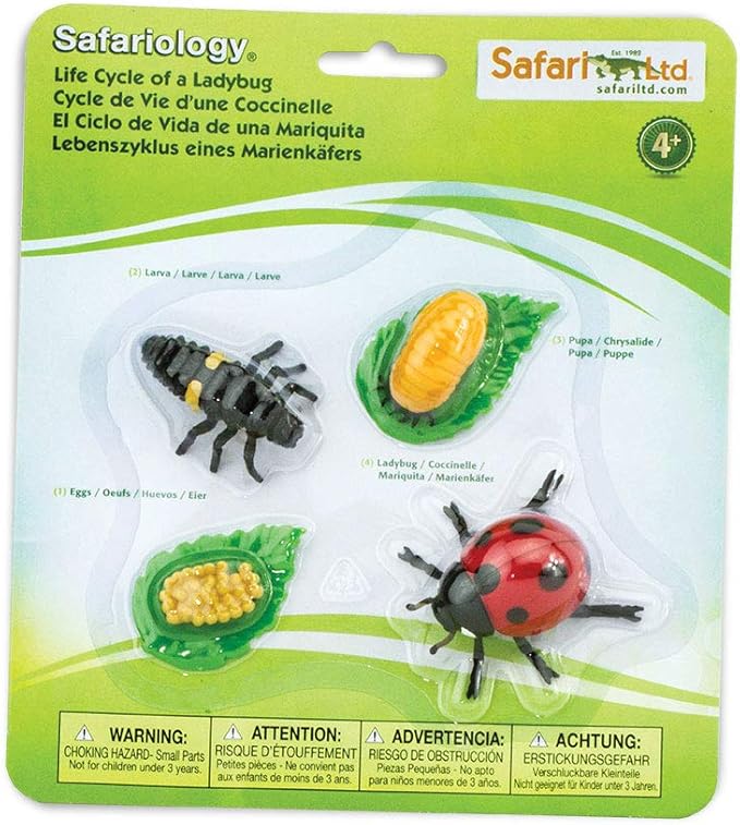 Safari Ltd. Life Cycle of a Ladybug - Educational Toy Figurines - Miniature Beetle Lifecycle Collection for Boys, Girls & Kids Age 4+