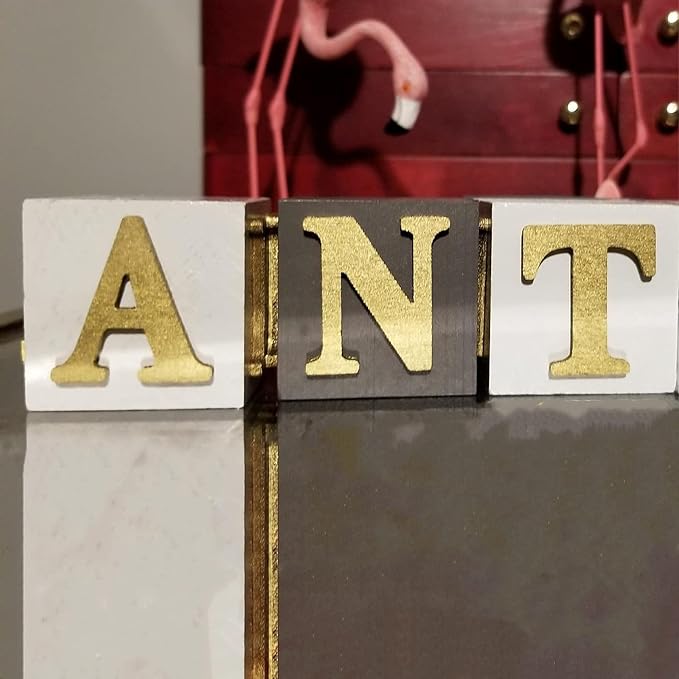 30 PCS 2 Inch Wood Blocks, 5x5x5cm Premium Natural Solid Blank Wooden Cubes Set, Square Unfinished Craft Wood Blocks Bulk for Crafting DIY Projects