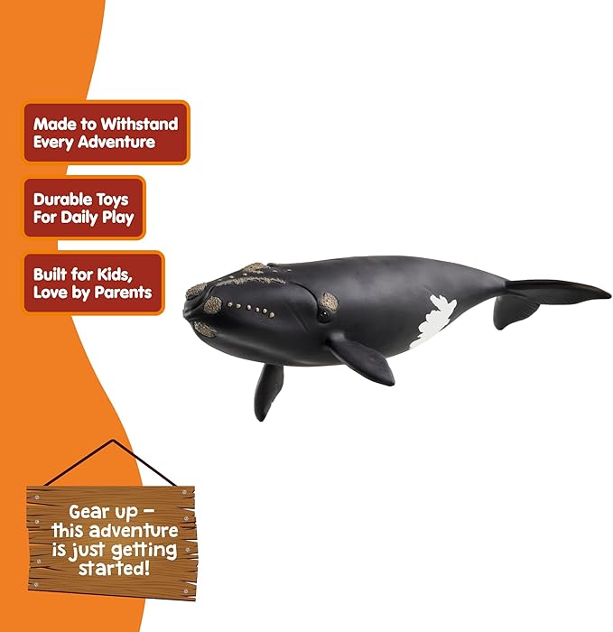 Schleich Wild Life - Large 7.5" Right Whale Toy Figurine. Realistic Hand-Painted Hard Animal Toys for Boys and Girls. Durable, Educational Figure for Imaginative Play. Kids and Toddlers Ages 3+ 14878