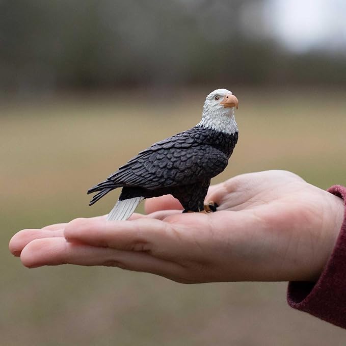 Safari Ltd. Bald Eagle Figurine - Realistic 2.4" Bird Figure - Educational Toy for Boys, Girls, and Kids Ages 3+