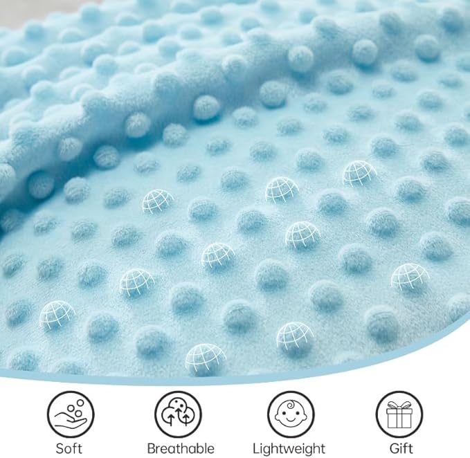 QSTEHEML Baby Blankets for Boys Neutral,Super Soft Nursery Minky Blanket Unisex, Baby Gifts Double Layer with Dotted Backing, Nursery Blankets for Crib Stroller(Blue Car30*40in)