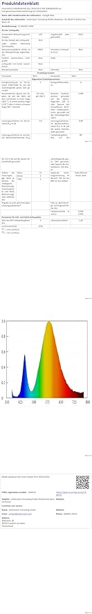 Hockey Gifts, 3D Rangers Hockey Lamp with 16 Color Changing Remote Control and Timer, Perfect Christmas and Birthday Gift for Rangers Hockey Lovers Boys Kids Teens