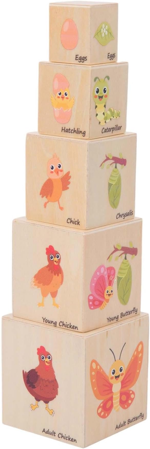 Wooden Life Cycle Nesting Blocks, Sorting & Stacking Montessori Toys for Kids, Preschool Educational Learning Cube Boxes for Toddlers 3+, Science Toy Set for Baby Boys & Girls (5 Pcs)