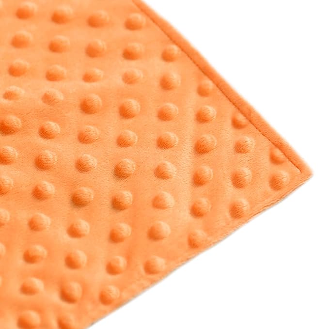 BORITAR Christmas Fox Baby Security Blanket Soft Minky Dot Fabric Lovey Blanket with Cute Woodland Pattern Backing Stuffed Plush Cuddle for Newborn Infant Gifts Orange 14 Inch