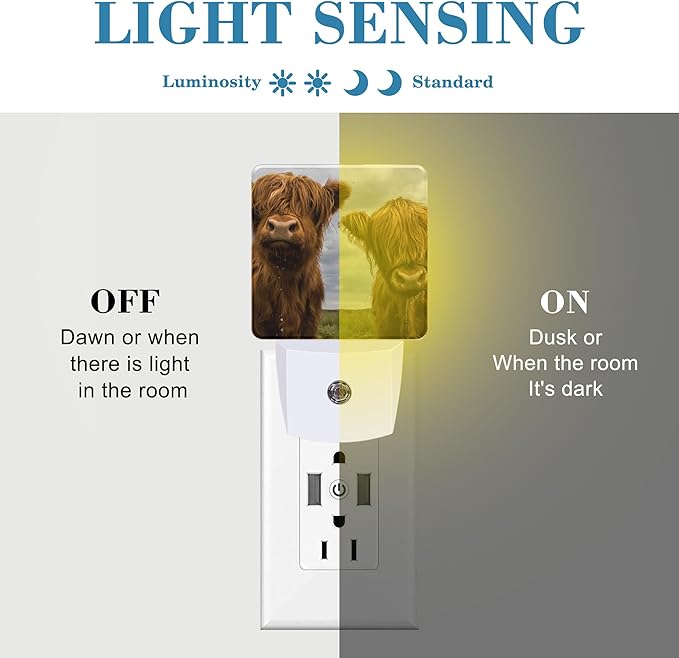 Highland Cows Night Light with Dusk to Dawn Sensor for Kid Girls Boys Women Men Room Decor, Hallway, Kitchen, Bathroom, Nursery, Stairs