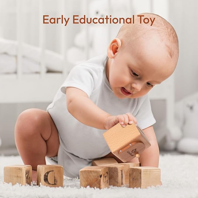 Woodtoe Montessori Coin Box for Toddlers, Montessori Toys for 1 2 3 Year Old, Fine Motor Skills Toys, Wooden Color Sorting Sensory Toy, Object Permanence Learning Matching Travel Game for Boys Girls