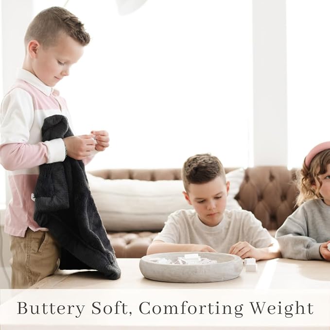 SARANONI Luxury Security Blankets for Babies | Ultra-Soft Lush and Boutique Quality Baby Blanket | Perfect for Infants & Newborns | Charcoal, Mini - 15" x 20"