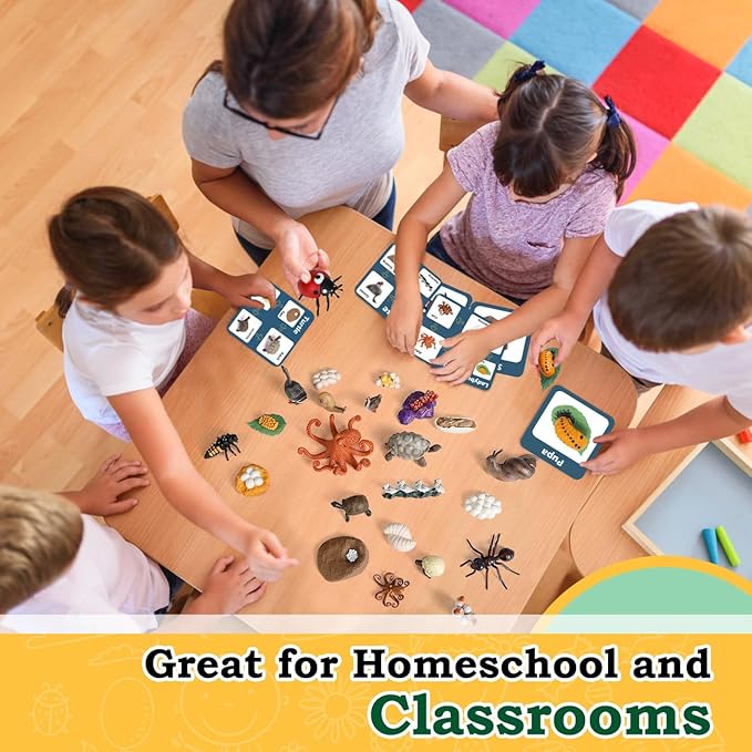 Life Cycle Toys for Kids - Life Science Education Kits: Ladybug, Ants, Goose, Land Turtle, Snail, Octopus - 24 Pieces Animal Models STEM Learning Toys for 3-10 Year Old