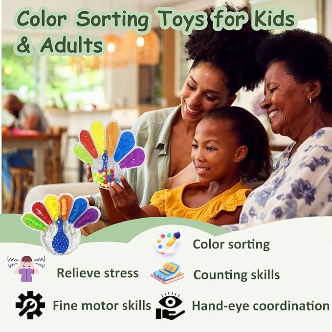 Color Sorting Sensory Toys, Fine Motor Skills Toys for Toddlers, Montessori Toys Preschool Learning Activitie, Sensory Activity Toy for Kids 3+ and Adults