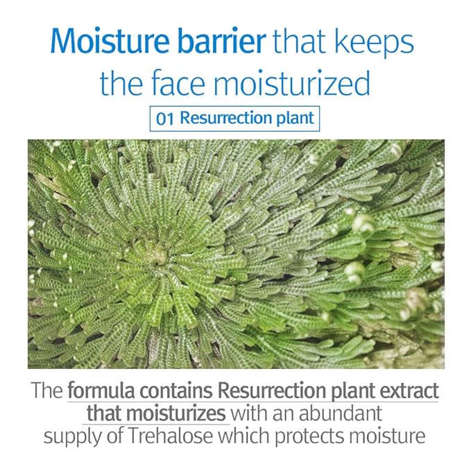 Pyunkang Yul PKY Kids & Baby Lotion Moisturizer with Ceramide, Hyaluronic Acid, Lecithin, Cica, Calming, Hydrating, Soothing, Moisturizing Cream for All Skin Types, Fragrance Free, 19.9 Fl.Oz. 590ml.