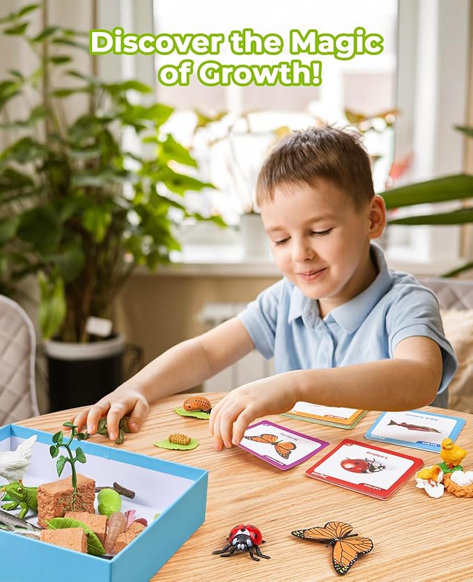 JoyCat Life Cycle Learning Education Toys, Insect Caterpillar to Butterfly kit, Ladybug, Bee, Tadpole to Frog Kit Life Cycle Toys for Kids, Preschool Learning Activities for Kids (Animals and Plant)