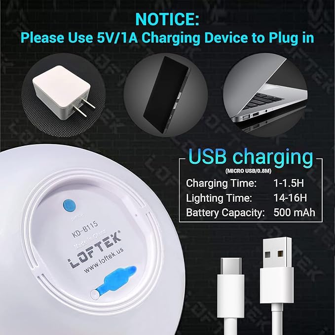 LOFTEK 6-inch LED Light Ball: Nursery Night Light with Remote Control, 16 RGB Color Changing & Dimming Rechargeable, Cordless Portable Floating Pool Lights for Kids or Decor