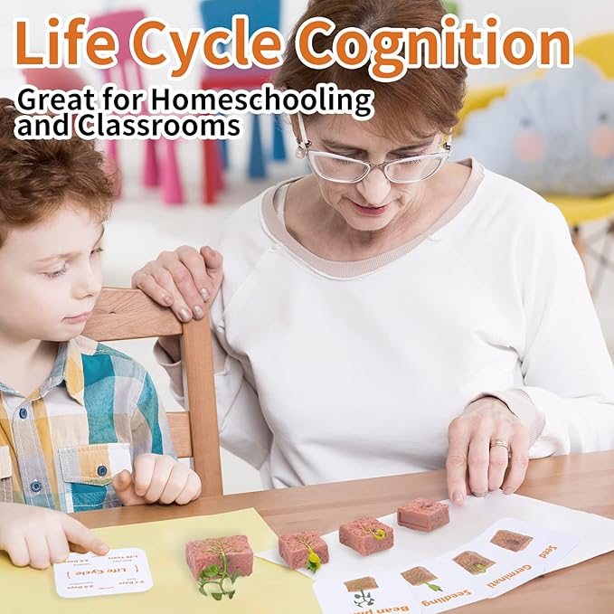 Montessori Life Cycle Animal Figurines Learning & Education Toys, Plastic Turtle Chicken Ant Plant Mantis Salmon Toys for Kids, Preschool Learning Activities for Toddlers