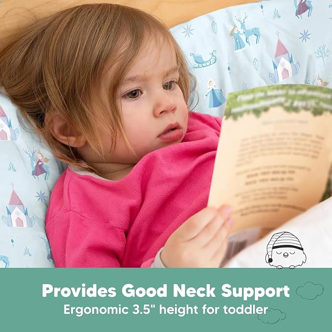 Toddler Pillow with Pillowcase - 13x18 My Little Dreamy Kids Travel Bed Pillows for Sleeping, Organic Cotton Small Pillowcase,Soft & Breathable,Machine Washable,Toddlers 2-5 years old(Enchanted Frost)