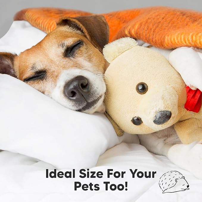 KeaBabies Toddler Pillow 13x18 - Soft Organic Cotton Kids Travel Bed Pillows for Sleeping, School, Nap, Machine Washable, Toddlers 2 to 5, Pillowcase Sold Separately (Soft White)