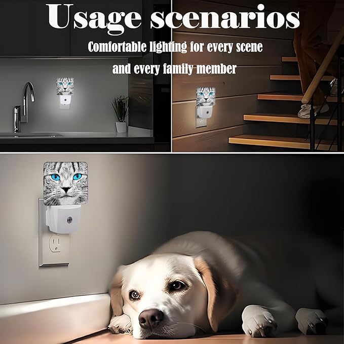 Blue Eyes Cat Night Light,Plug Into Wall with Dusk to Dawn Light Sensors, Warm Nightlights for Bedroom, Bathroom, Hallway, Kitchen, Gifts Ideal for Boys Girls Women Men