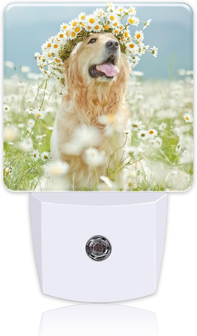 Plug in Night Lights Golden Retriever with Daisy Wreath Night Light with Dusk to Dawn Sensor Night Light for Kid Girls Boys Women Men Room Decor, Hallway, Kitchen, Bathroom, Nursery, Stairs