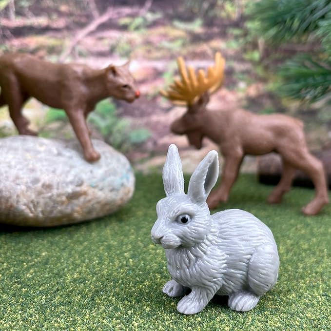 Safari Ltd. Nature TOOB - 12 Mini Figurines with Rabbit, Beaver, Doe, Gray Wolf, Fox, Black Bear, Moose, Mountain Lion, Bald Eagle, and More - Educational Toy for Boys, Girls & Kids Ages 3+