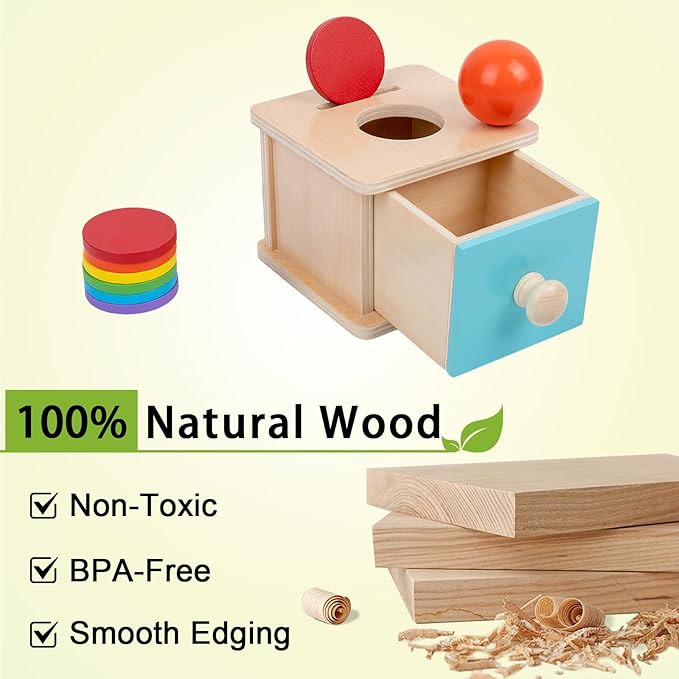 Adena Montessori Infant Toddlers Coin Box Montessori Toys for 6-12 Months Babies 1 Year 2 Year Old (2 in 1,Coin&Ball, Blue Door)