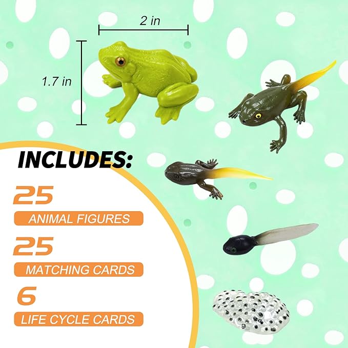 Montessori Animal Life Cycle Figurines, Plastic Miniature Educational Toys, 6 Count, Ages 3+