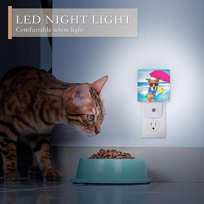 Night Light With Dusk to Dawn Sensor - Funny Dog Design for Kids, Girls, Boys, Women, Men - Room Decor for Hallway, Kitchen, Bathroom, Nursery, Stairs