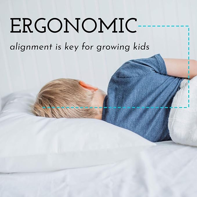 Little Sleepy Head Toddler Pillow with Pillowcase 13x18 - Kids Pillow for Sleeping - Better Neck Support Ergonomic Pillow and Toddler Pillowcase - Best Pillows for Kids (Daisies)