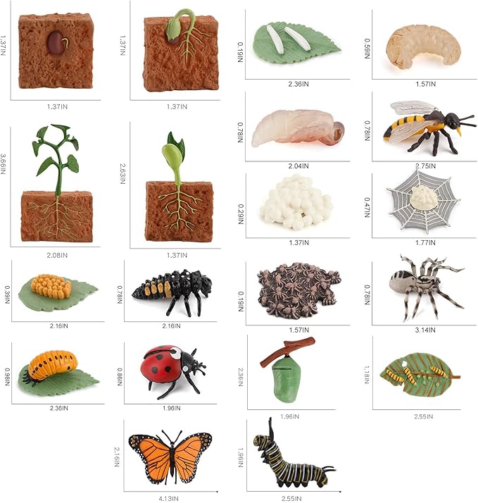 20 PCS Insect Animal Life Cycle Model Figure Plant Spider Bee Butterfly Figurines Ornament Cake Toppers Party Favors Supplies Cognitive Toy for Boys Girls Kids