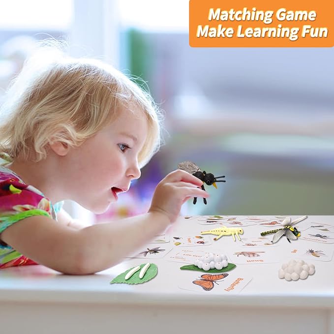 Montessori Animal Life Cycle Figurines, Plastic Miniature Educational Toys, 6 Count, Ages 3+