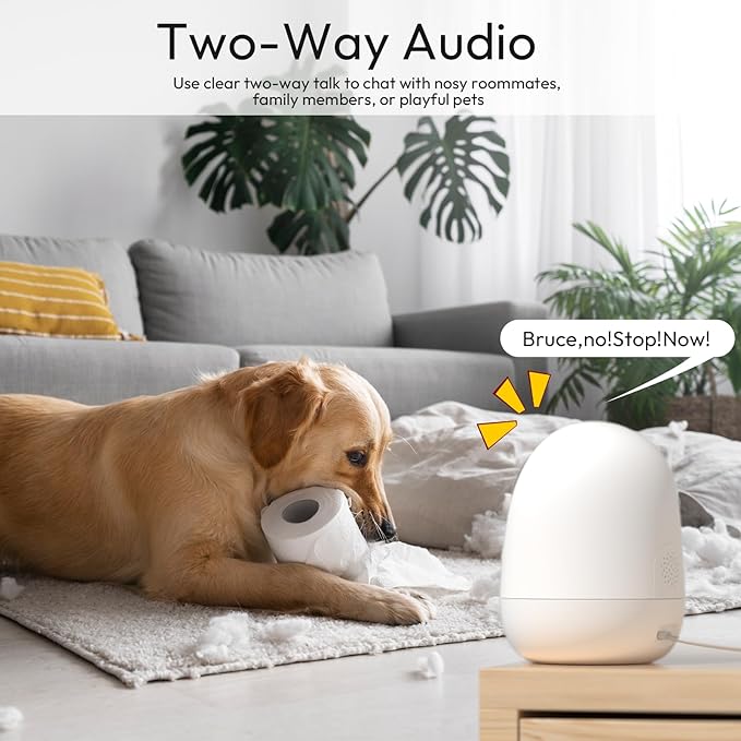 Rraycom Indoor Camera 5G&2.4G,2K Pan/Tilt Security Camera for Baby Monitor w/Cry Detection, Dog Camera w/Motion Detection, Human/Pet Auto Tracking,2-Way Audio, Night Vision,Siren,Works w/Alexa