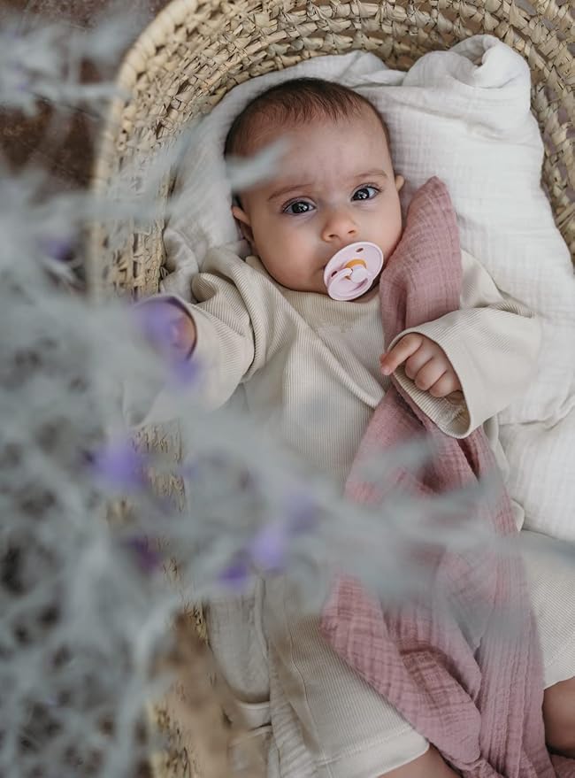 BIBS Pacifiers Colour Collection | Natural Rubber Baby Pacifier | Set of 2 BPA-Free Soothers | Made in Denmark | 6+ Months (Pack of 2) | Woodchuck