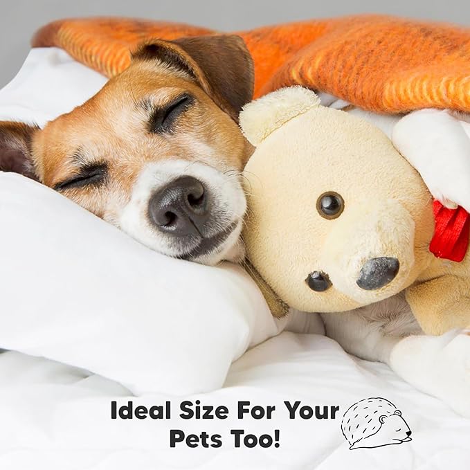 KeaBabies 2-Pack Toddler Pillow 13x18 - Soft Organic Cotton Kids Travel Bed Pillows for Sleeping, School, Nap, Machine Washable, Toddlers 2 to 5, Pillowcase Sold Separately (Nibbles/Bruce)