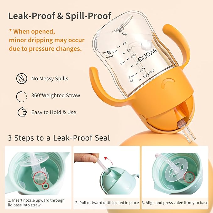 Evorie Tritan Weighted Straw Sippy Cup with Handles for Baby and Toddlers, Spill Proof Baby Water Bottle with Straw for 6 months and up, 7 Oz, Infant Training Water Bottle (Daydream)