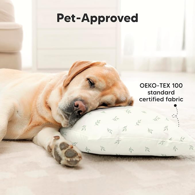 KeaBabies 2-Pack Toddler Pillow 13x18 - Soft Organic Cotton Kids Travel Bed Pillows for Sleeping, School, Nap, Machine Washable, Toddlers 2 to 5, Pillowcase Sold Separately (Herb)