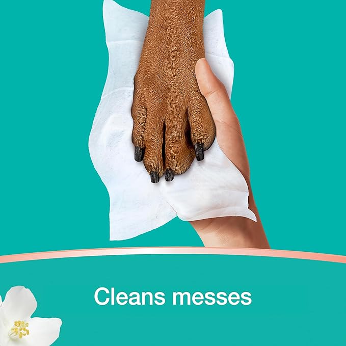 Pampers Wipes, Clean & Calm, Cotton Blossom Scent, 672 Wipes Total (12X Pop-Top Packs)