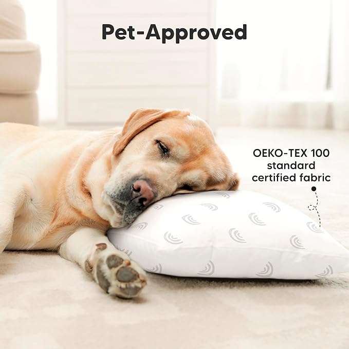 KeaBabies 2-Pack Toddler Pillow 13x18 - Soft Organic Cotton Kids Travel Bed Pillows for Sleeping, School, Nap, Machine Washable, Toddlers 2 to 5, Pillowcase Sold Separately (Gray Rainbow)