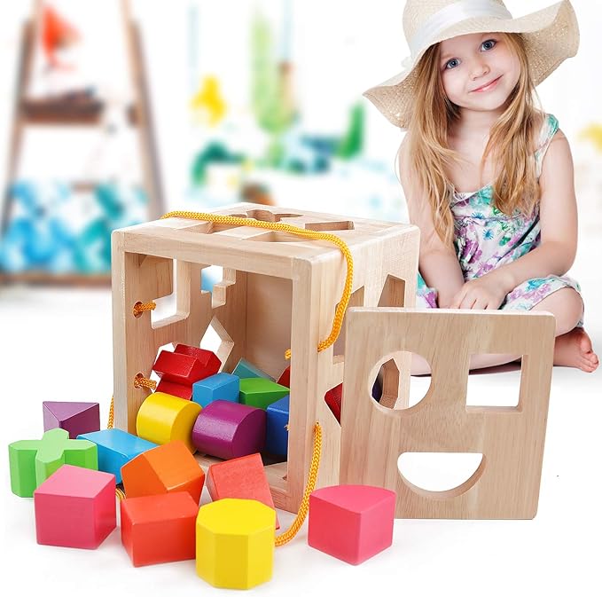 QZMTOY Shape Sorter Toys with 19 Shape Blocks, Classic Wooden Toys for Toddlers Kids, Gift for Girls Boys 2-4 (Natural Solid Wood)