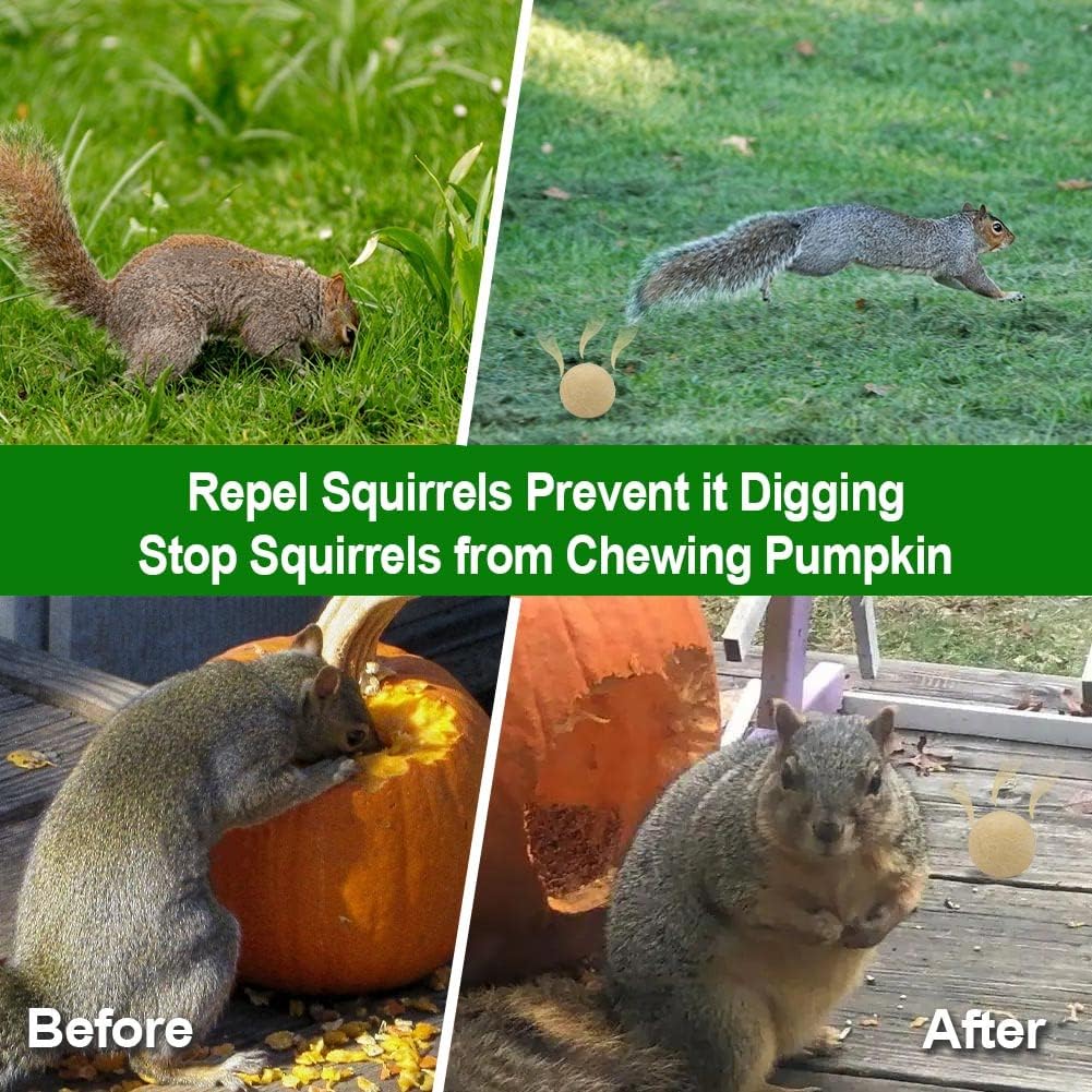 Squirrel Repellent Outdoor, Chipmunk Repellent for Attic/Garden/Bird Feeders/Plants/Cars, Deterrent Squirrels, Keep Chipmunks Away-Pack of 8