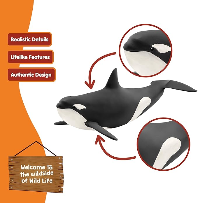 Schleich Wild Life, Animal Figurine, Animal Toys for Boys and Girls 3-8 Years Old, Killer Whale, Ages 3+