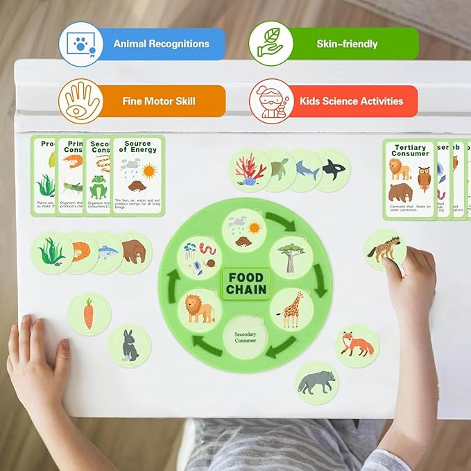 Life Cycle Toys for Kids-Food Chain & Food Web Science Education Toys - Montessori Animal Life Cycle Learning Toys for Toddlers-Preschool Classroom Must-Have Science Kits for Kids