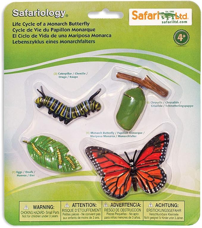 Safari Ltd. Life Cycle of a Monarch Butterfly - Educational Toy Figurines - Miniature Butterfly Lifecycle Collection for Boys, Girls & Kids Age 4+