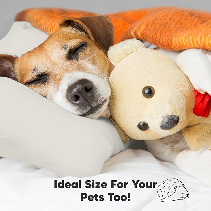 Toddler Pillow with Pillowcase - 13x18 My Little Dreamy Kids Travel Bed Pillows for Sleeping, Organic Cotton Small Pillowcase, Soft & Breathable, Machine Washable, Toddlers 2-5 Years Old (Clay)