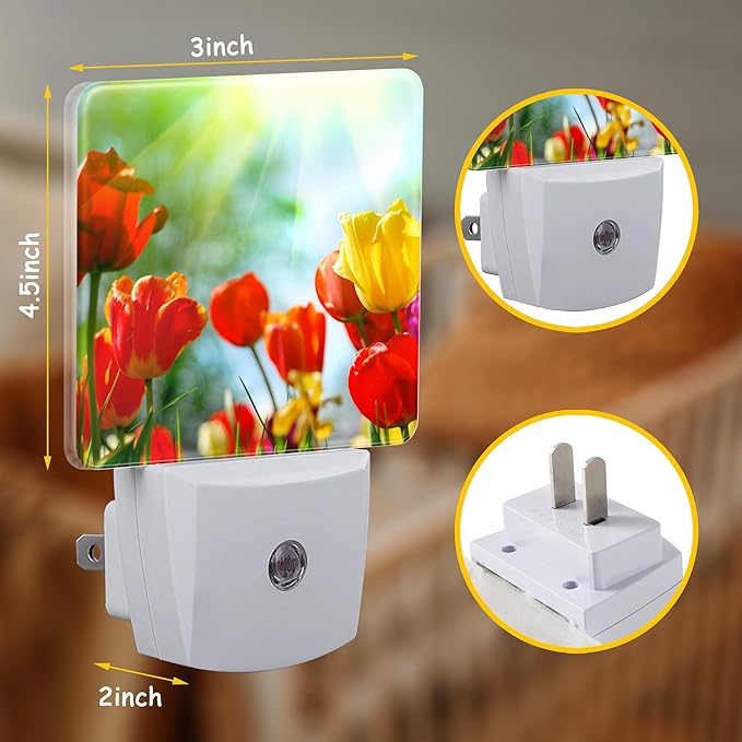 Night Light,Sunlight on Red Yellow Tulips Plug-in Night Light Auto Dusk-to-Dawn Sensor Energy Efficient LED Lamp for Room Decor,Hallway,Kitchen,Bathroom,Nursery,Stairs