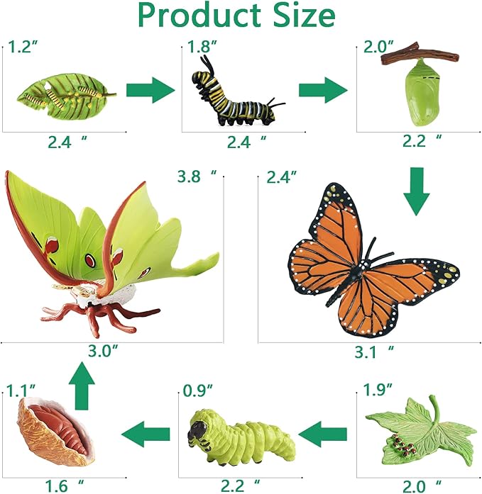 8PCS Life Cycle Figurines of Monarch Butterfly and Actias Ningpoana, Realistic Education Insects Life Cycle Toys, Caterpillar to Butterfly Kit Growth Life Stages Figures for Learning and Teaching Aids