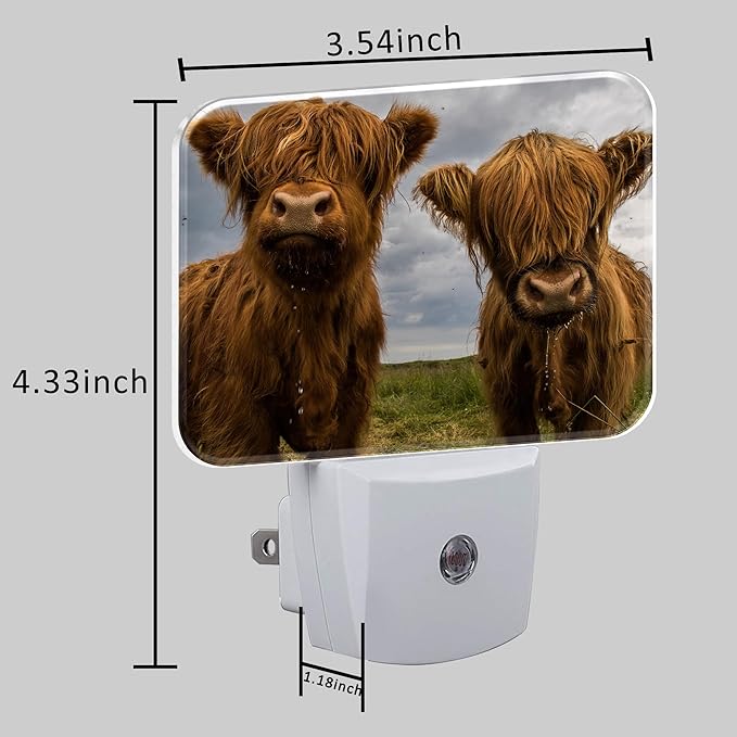 Highland Cows Plug in Night Lights, Cute Highland Cows Nightlight Plug Into Wall Dusk to Dawn Sensor for Kid Girls Boys Women Men Bedroom, Hallway, Kitchen, Bathroom, Stairs Decor