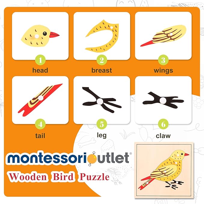 Montessori Outlet Bird Puzzle for 3-6 Years Montessori Education at School and Home