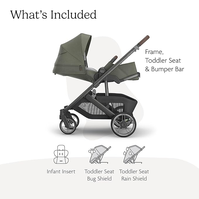 UPPAbaby Cruz V3 Stroller - from Birth + Car Seat Compatible - Full-Size, Reversible Seat - Infant Insert, Bug and Rain Shields Included - Evelyn (Meadow Green/Graphite Frame/Chestnut Leather)