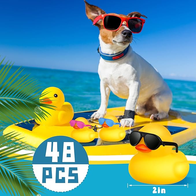 Chivao 48 Pcs Mini Rubber Ducks with Sunglasses in Bulk Small Duck Gift Bathtub Toys for Holiday Cruise Birthday Party Favor(Yellow, Blue, Pink, Black)
